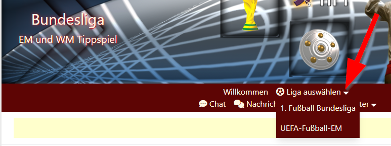 ligenauswahl